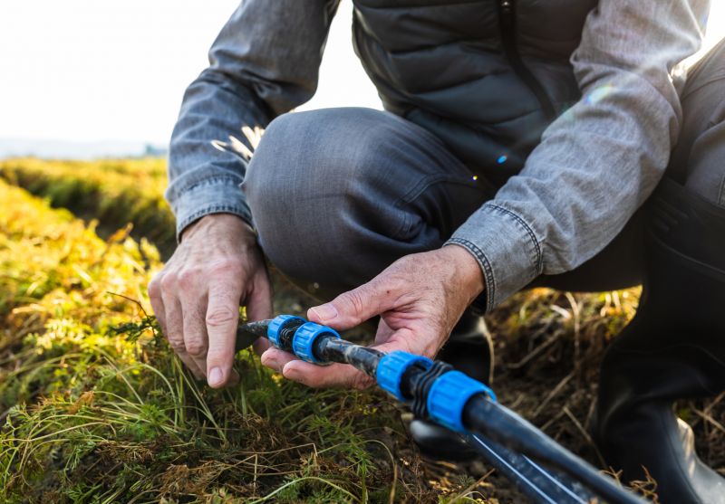 Damaged Sprinkler Repair in Ventura County, CA
