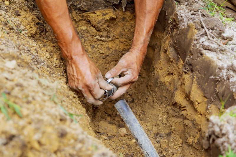 Grass Sprinkler Repair in Honolulu, HI