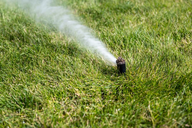 Irrigation System Winterization