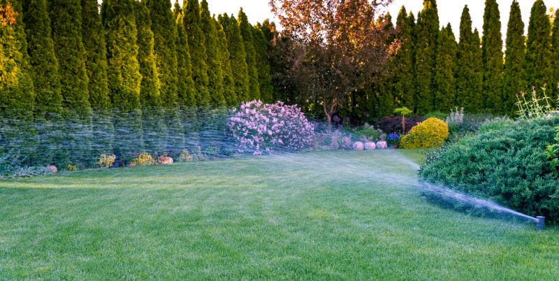 Lawn Sprinkler System Repair