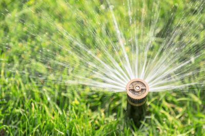 Winter Protection for Sprinkler Heads