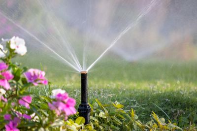 Sprinkler Head Replacement