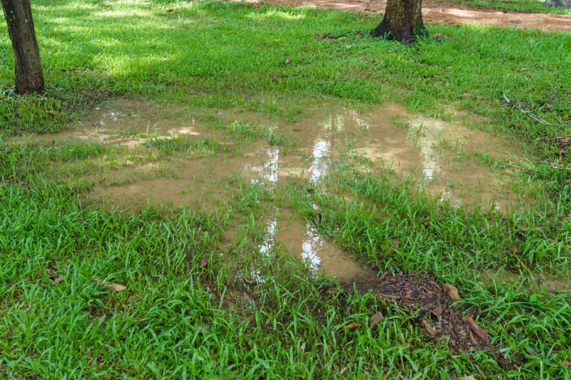 Yard Irrigation Installation