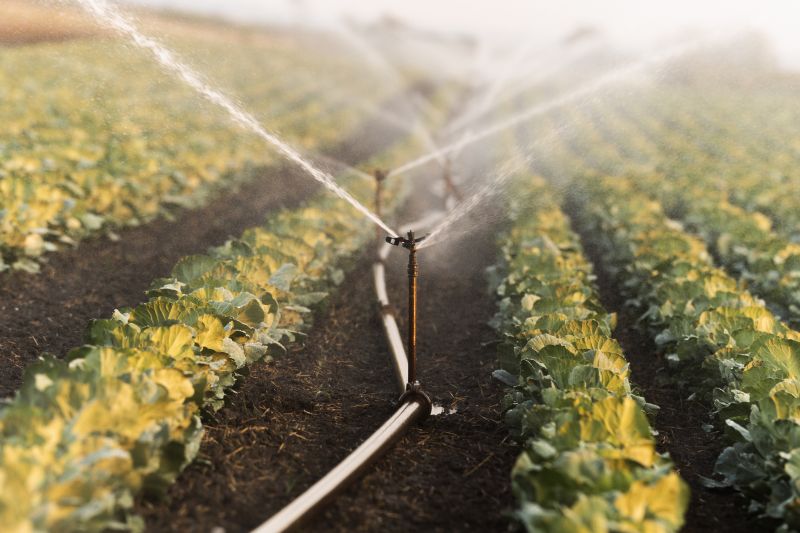 Irrigation System Replacement in Honolulu, HI